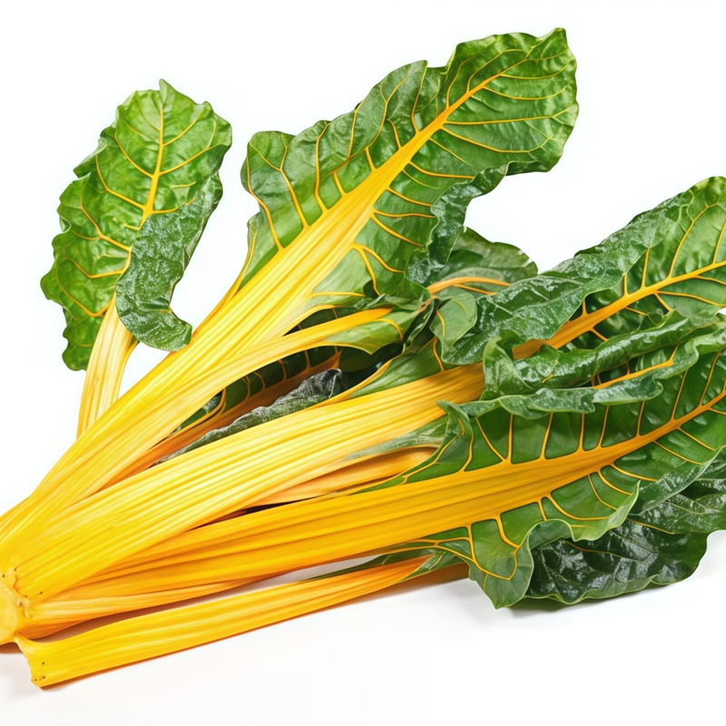Beta Vulgaris - Green Leaf Yellow Path High Germination Onsaleseeds