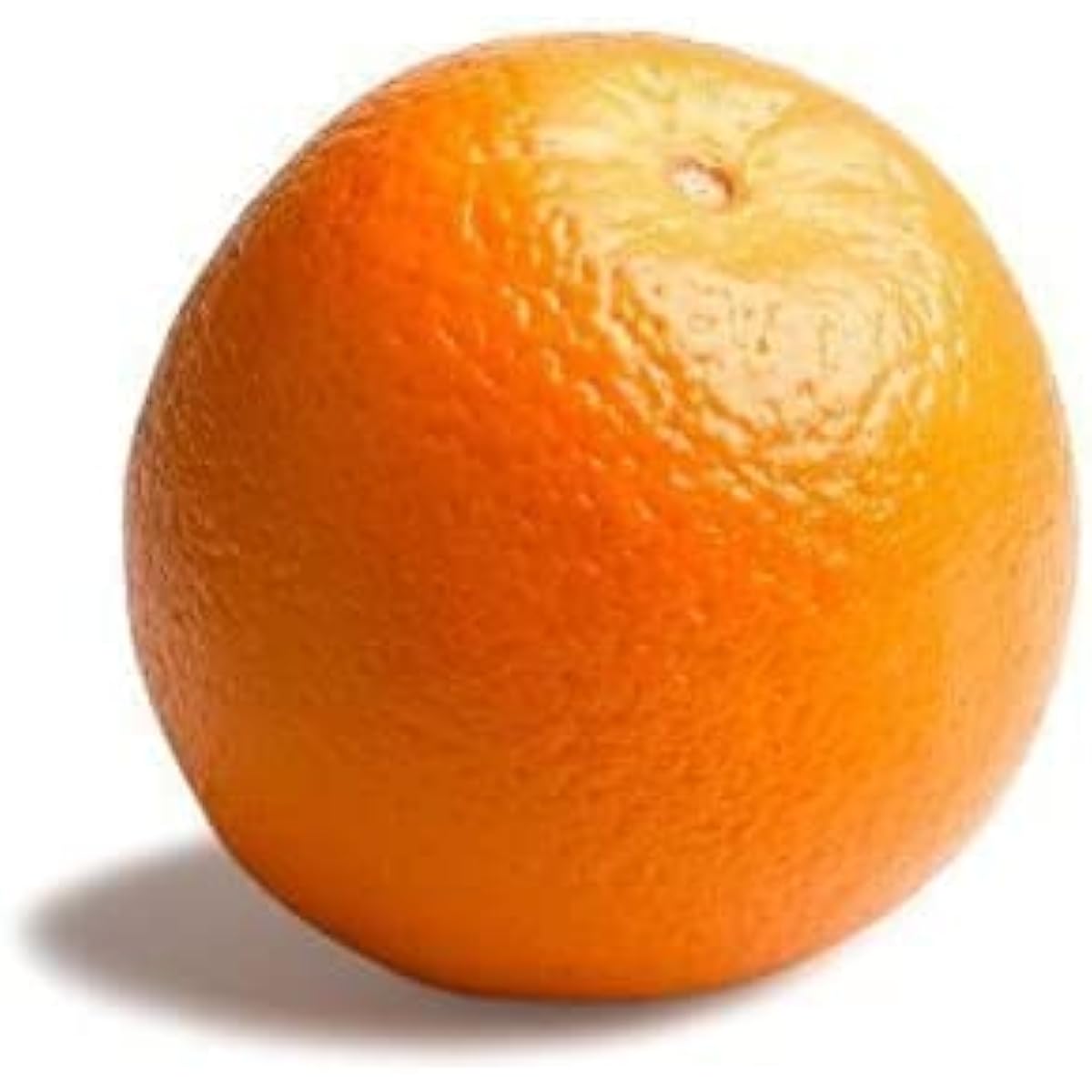 Organic Navel Orange Seeds up to 50%