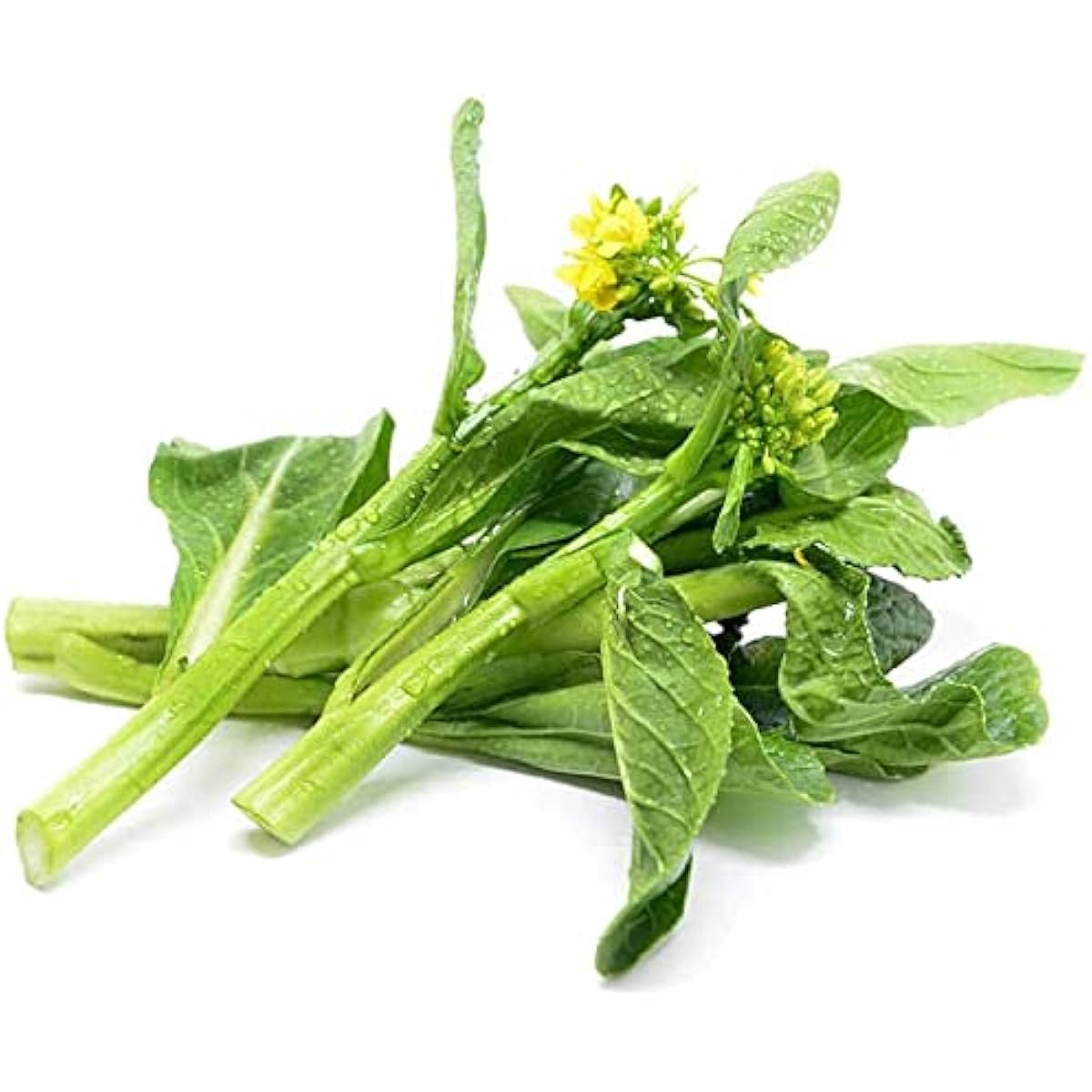 Choy Sum Cabbage Seeds up to 50%