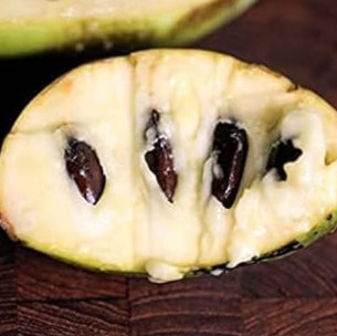 Pawpaw Fruit Tree Seeds up to 50%