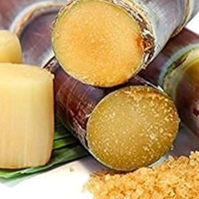Giant Sugar Cane Seeds up to 50%