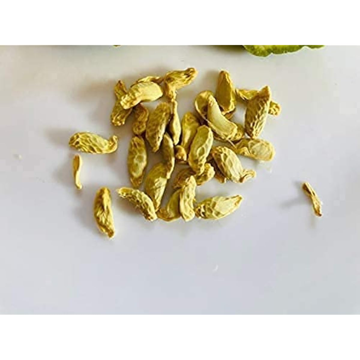 Kaffir Lime Seeds – up to 50%