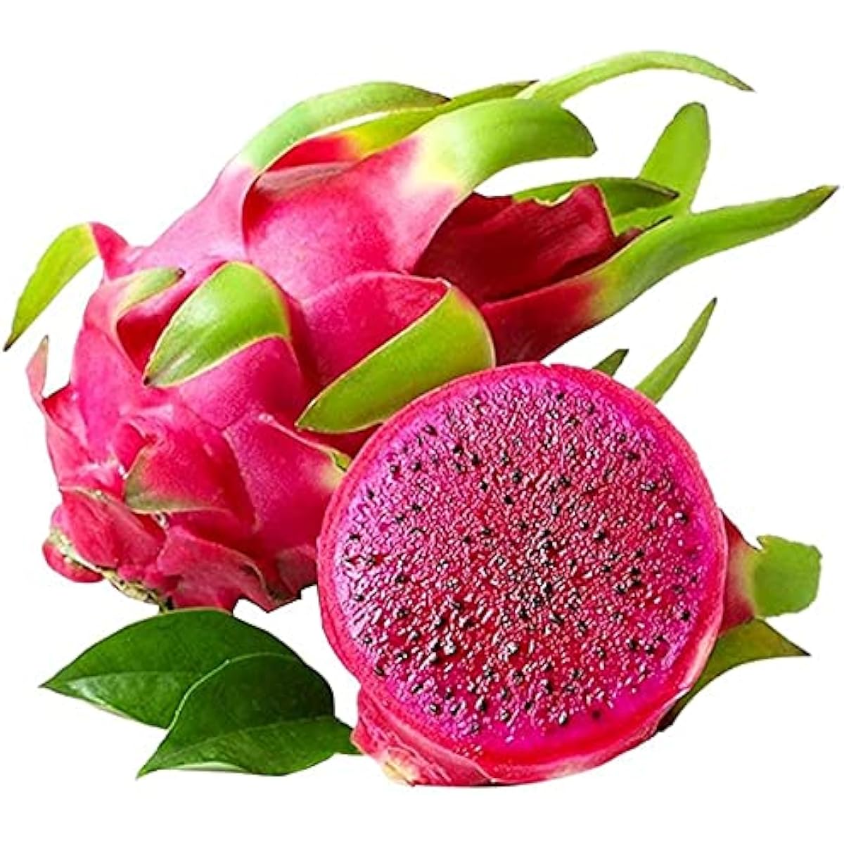 Red Dragon Fruit - Pitaya Plant Seeds for Garden Growing up to 50%