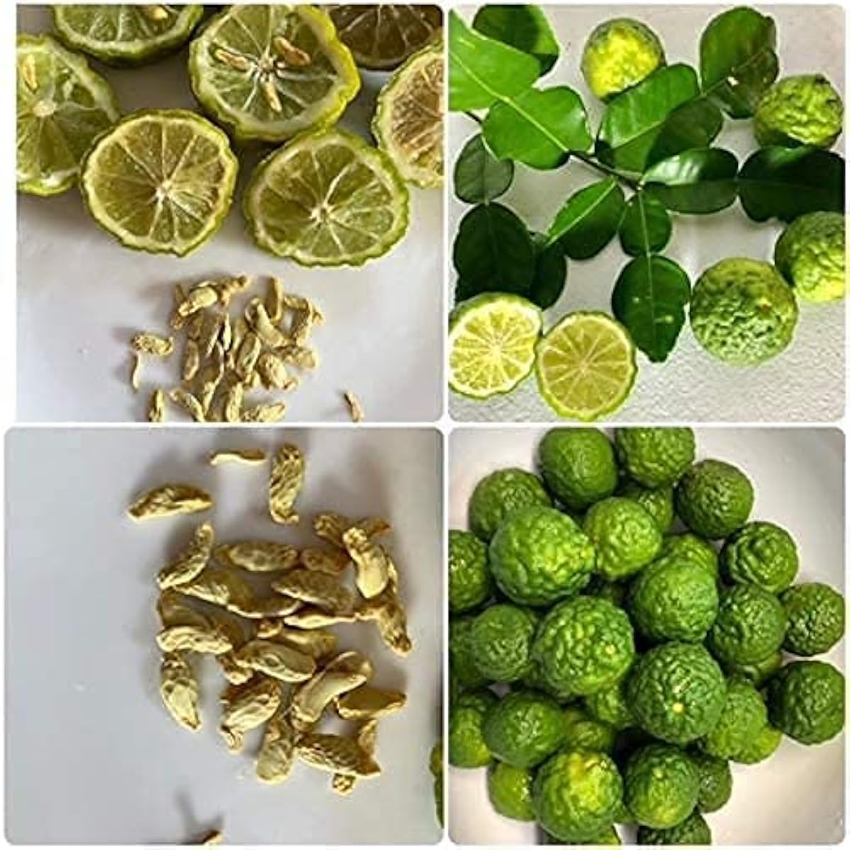 Kaffir Lime Seeds – up to 50%