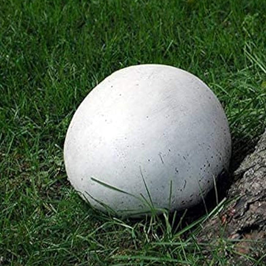 Giant Puffball Mushroom Spores up to 50%