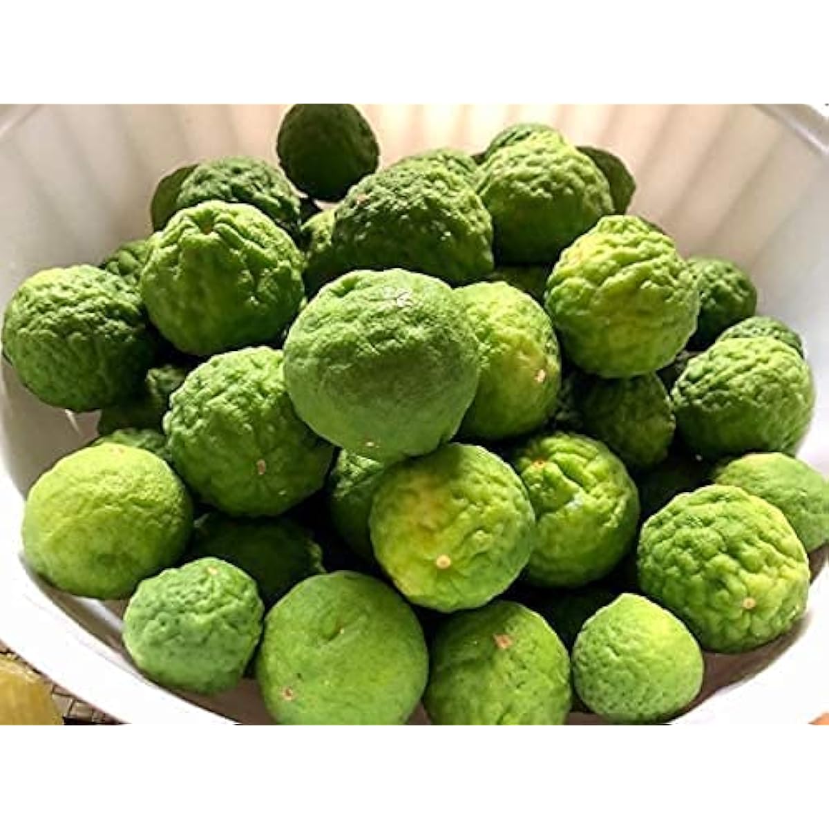 Kaffir Lime Seeds – up to 50%
