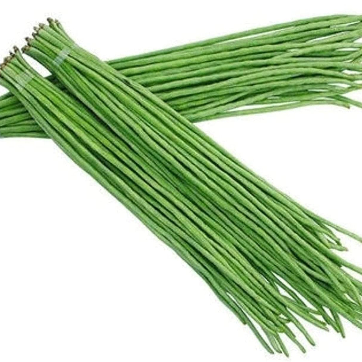 Snake/Yard-Long Asparagus Pole Bean Seeds – Heirloom & Non-GMO | up to 50%