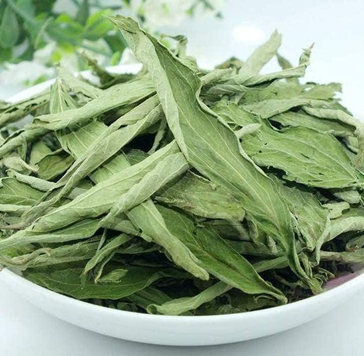 Stevia Rebaudiana Seeds - Larger Packet High Germination 6000-120000 Onsaleseeds