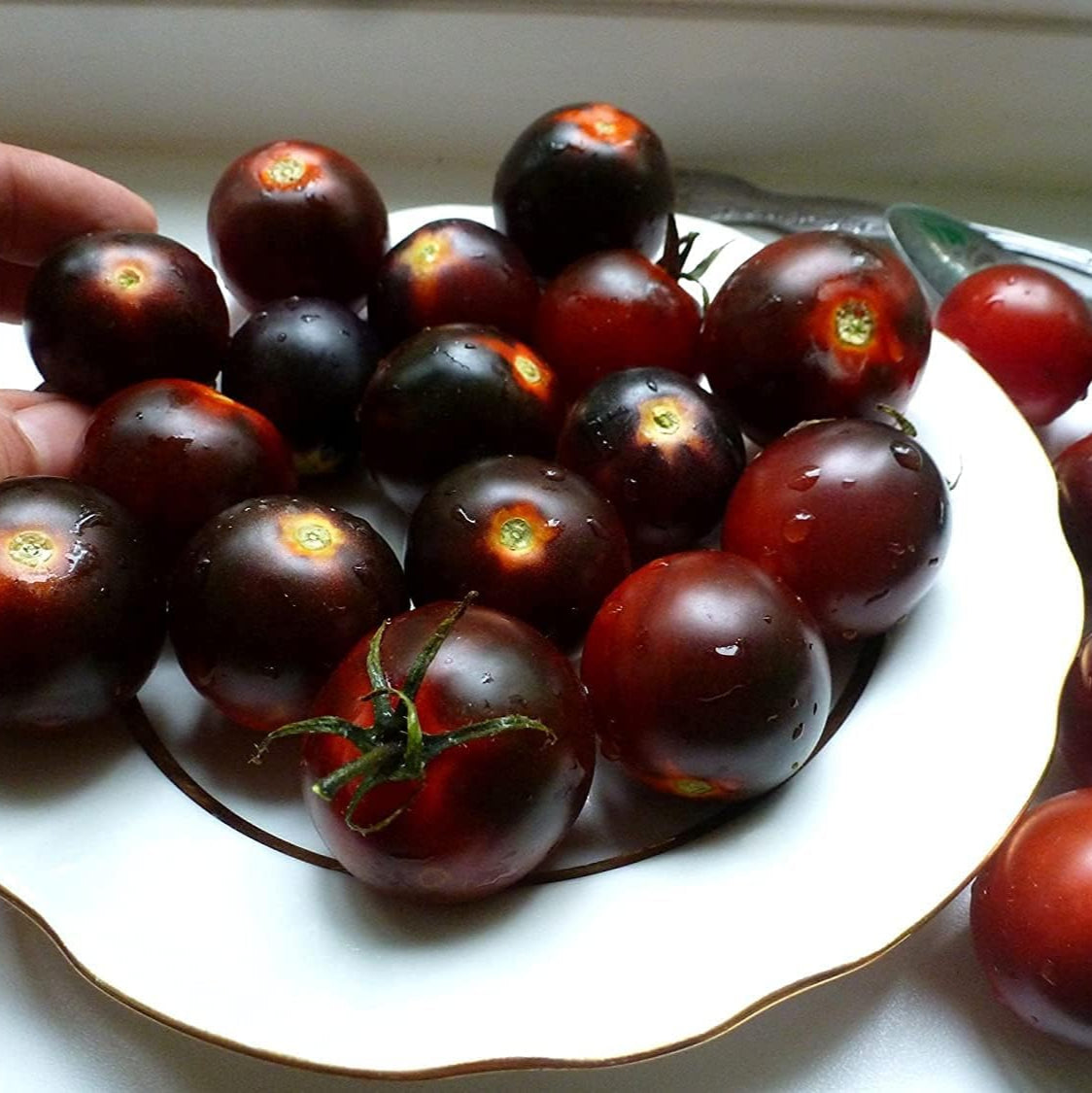 Black Early Tomato Seeds up to 50%