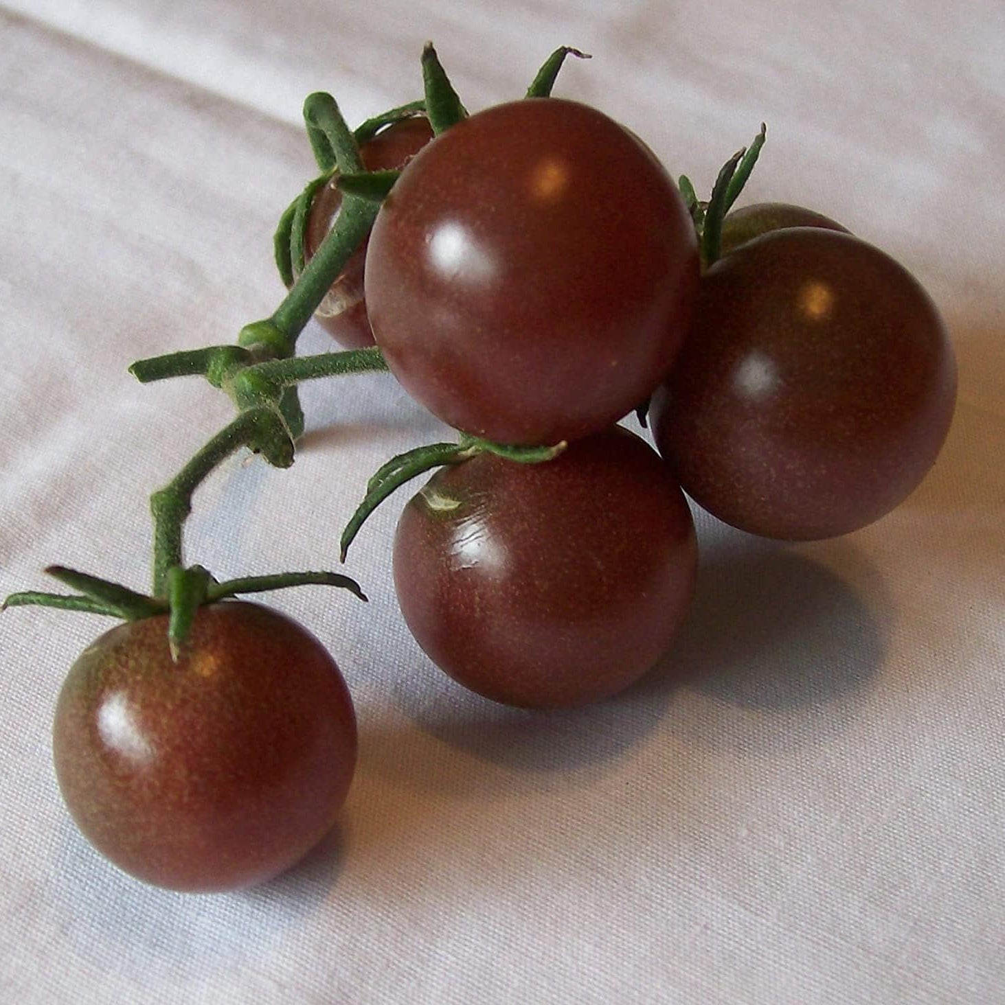 Black Early Tomato Seeds up to 50%
