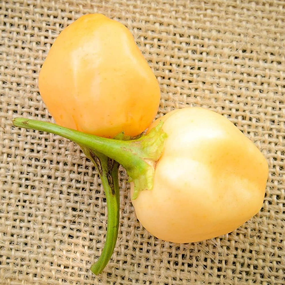 Peachadew Pepperdew Heirloom Pepper Seeds – up to 50%