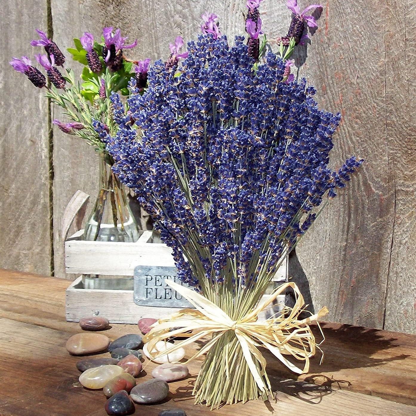 English Lavender Herb Seeds up to 50%