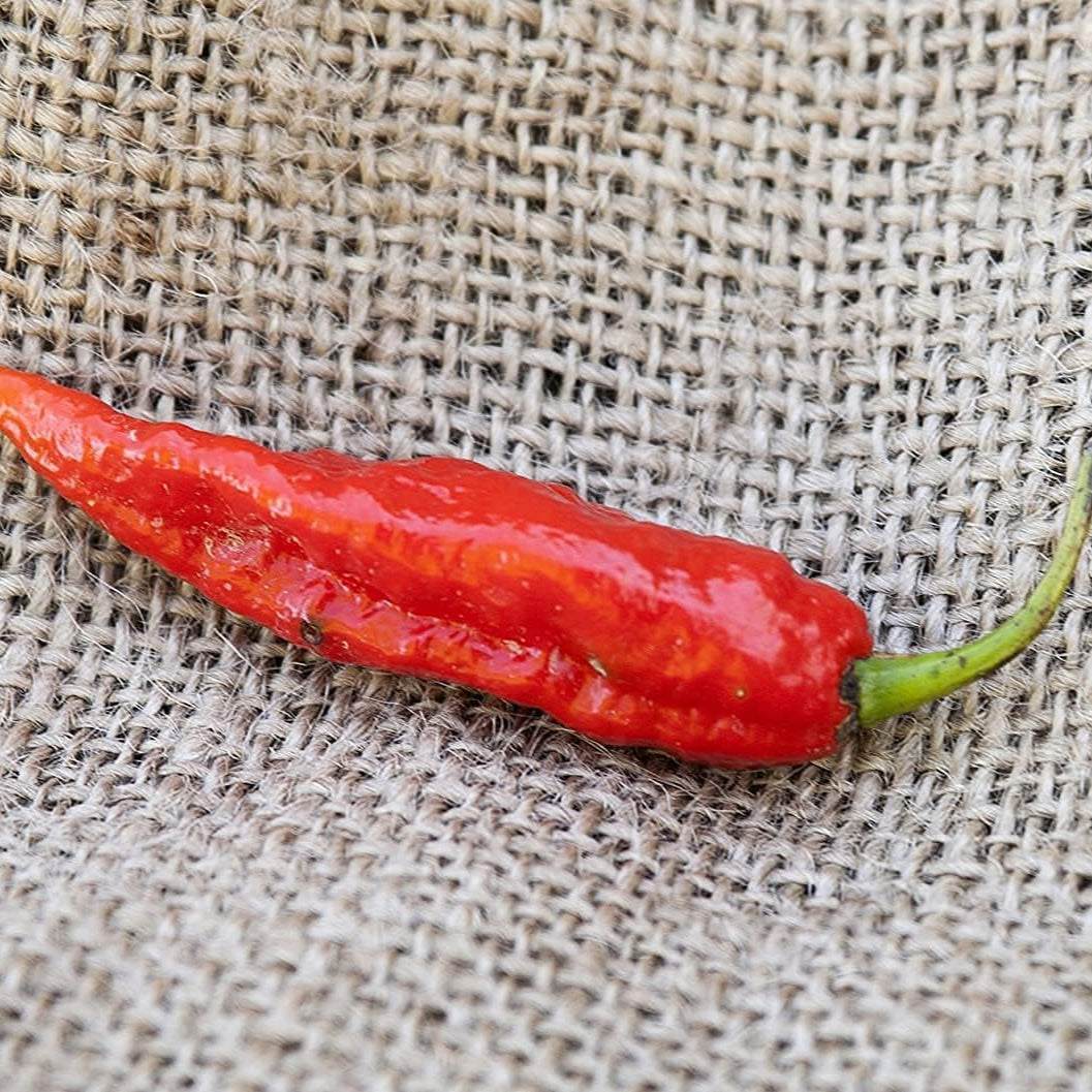 Ghost Pepper Seeds up to 50%