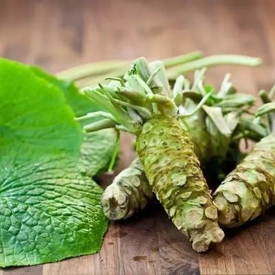 Wasabi Vegetable Seeds up to 50%