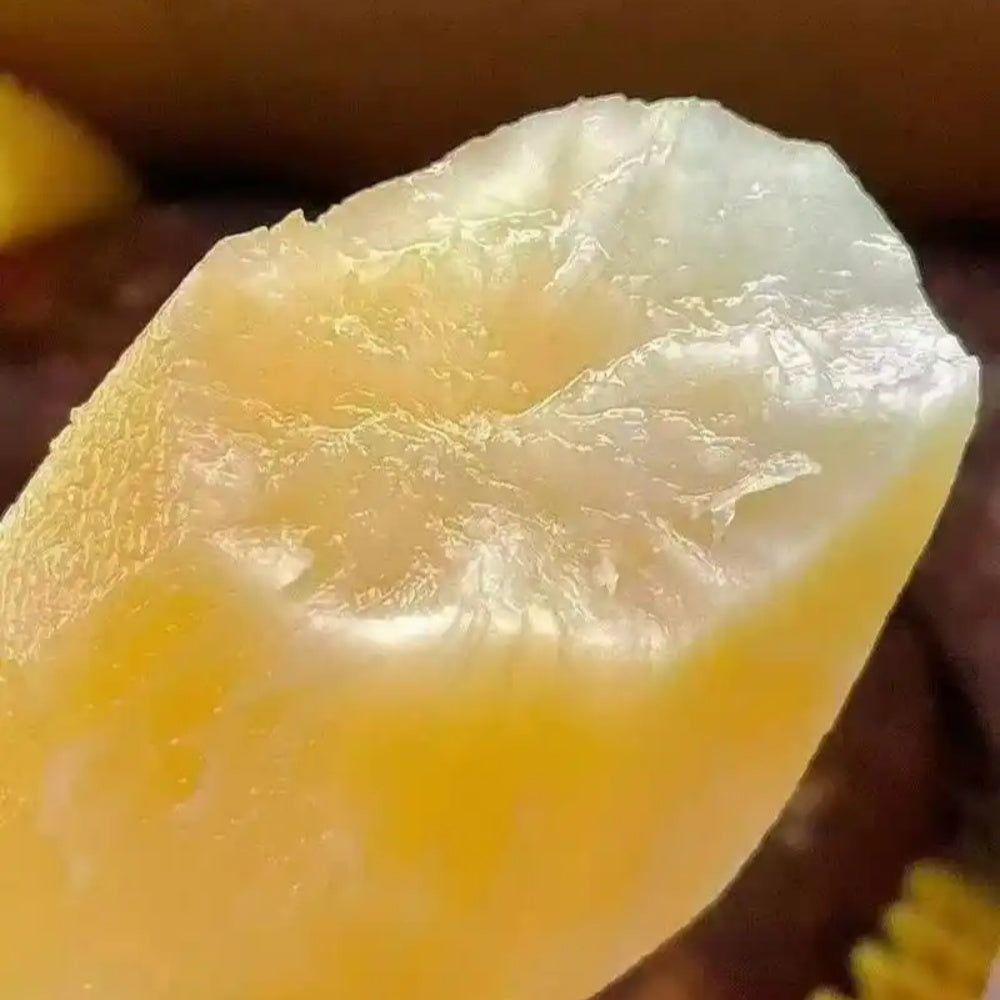 Yacon Seeds