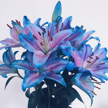 Lily Flower Seeds