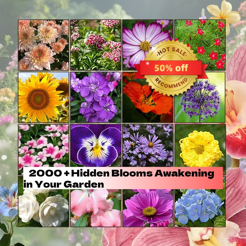 Flower Seed Bundle