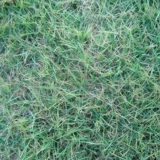 Hulled Grass Seed