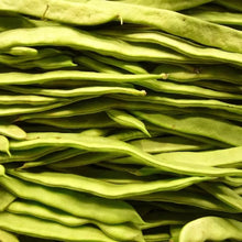 Romano Pole Bean Seeds