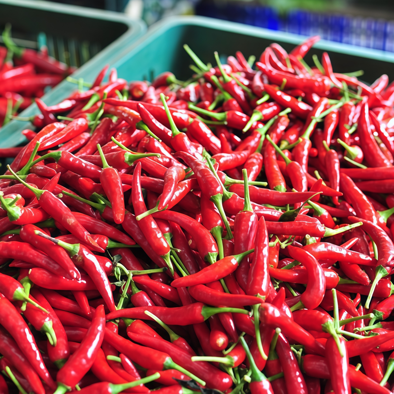 American Red Horn Pepper Seeds