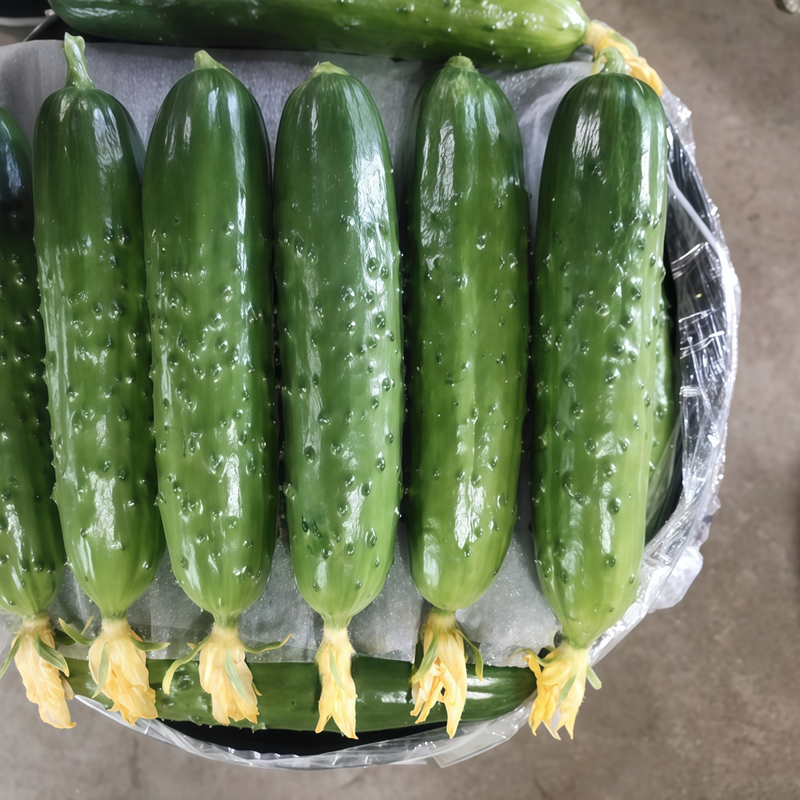 Green Citrullus Seeds