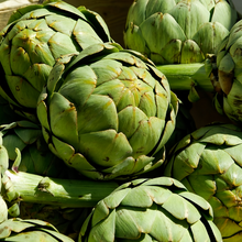 Green Artichoke Seeds