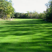 Merit Grass Seed