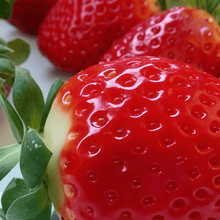 Strawberry Seeds