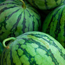Watermelon Seeds
