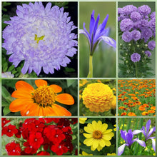 Seasonal Wildflower Mix