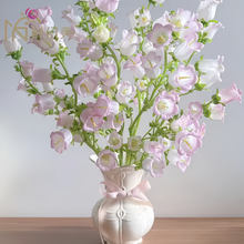 Mix Bellflower Seeds