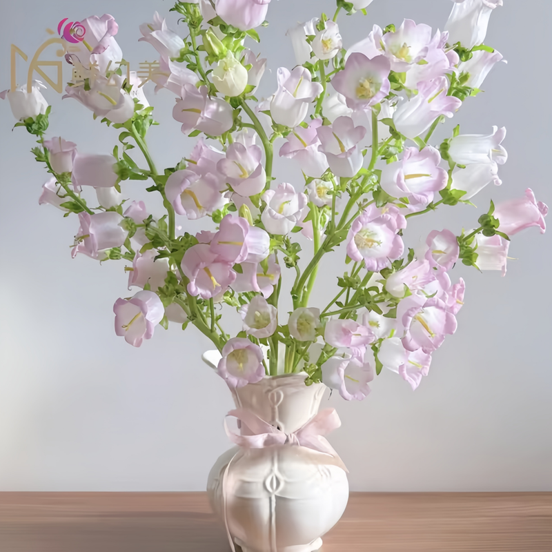 Campanula Seeds - Mix Larger Packet High Germination 4000-20000 Onsaleseeds