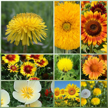 Yellow Wildflower Mix
