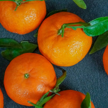 Mandarin Orange Seeds