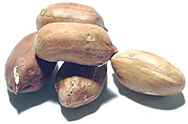 Giant Peanut Seeds up to 50%