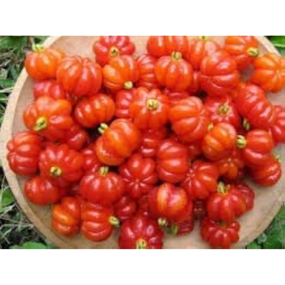 Red Surinam Cherry Seeds up to 50%