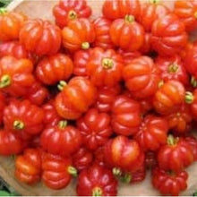 Red Surinam Cherry Seeds