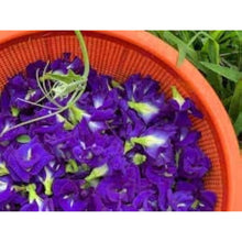 Butterfly Pea Seeds - Purple