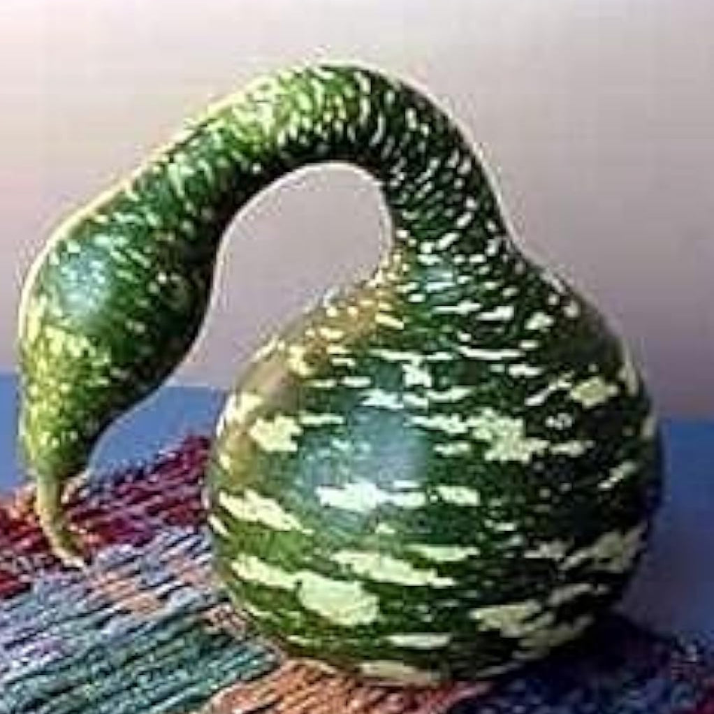 Speckled Swan Gourd Seeds