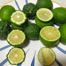 Bergamot Fruit Seeds