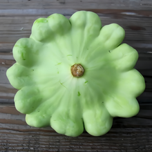 Trophy Mixed Squash Seeds