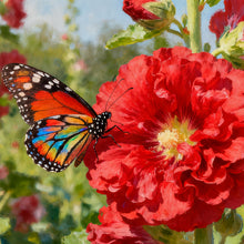 Hollyhock Red Seeds