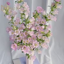 Mix Bellflower Seeds