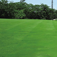 Merit Grass Seed