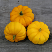 Golden Orange Squash Seeds