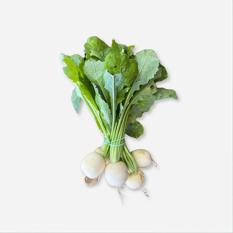 Raphanus Sativus L. Var. Radicula Pers. - White Larger Packet High Germination 2000-10000 Onsaleseeds