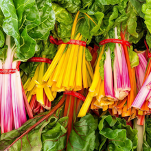 Beet Seeds - Mix