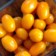 Yellow Cherry Tomato Seeds