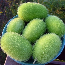 Yellow Cucumber Seeds