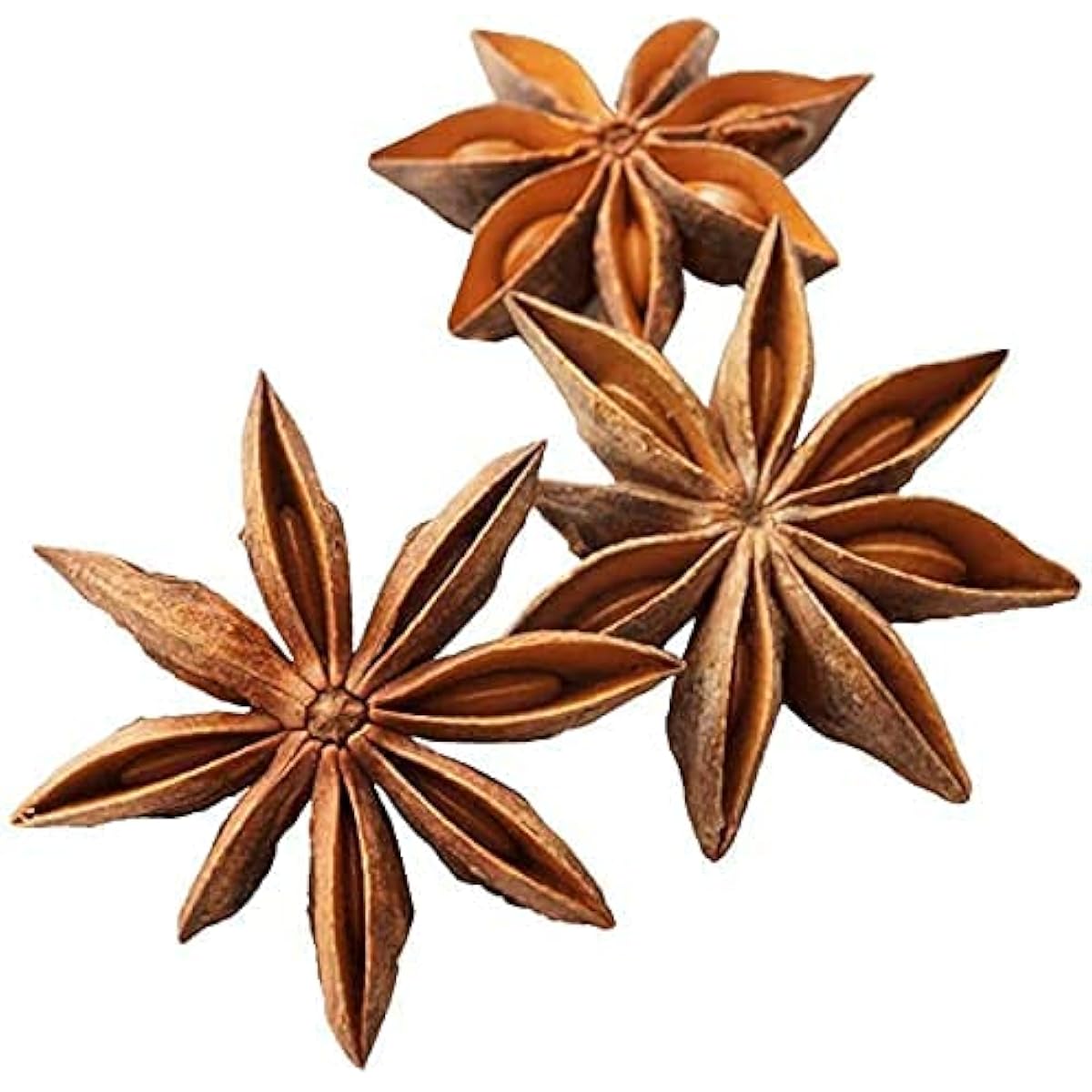 Anise Seeds – Non-GMO Culinary &amp; Medicinal Herb | up to 50%